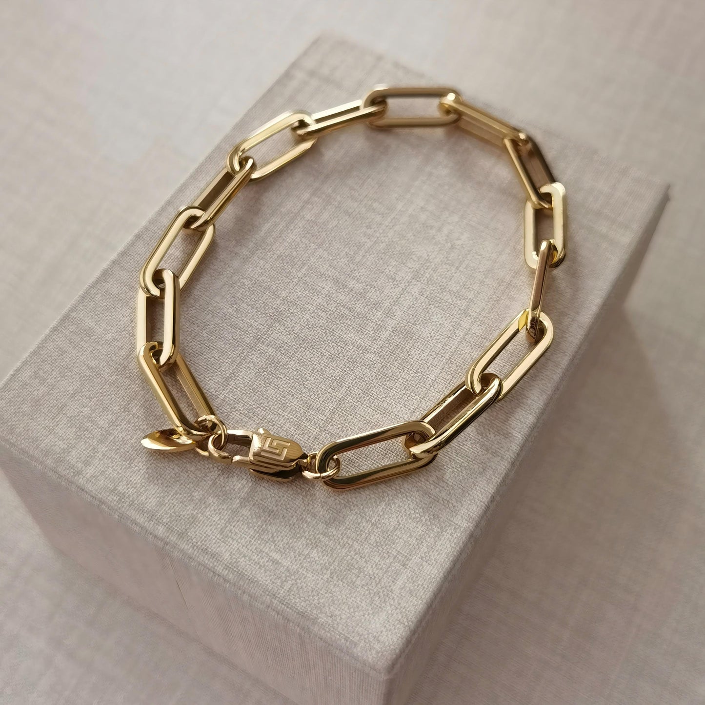LG009 Paperclips Choker Necklace/Bracelet Set