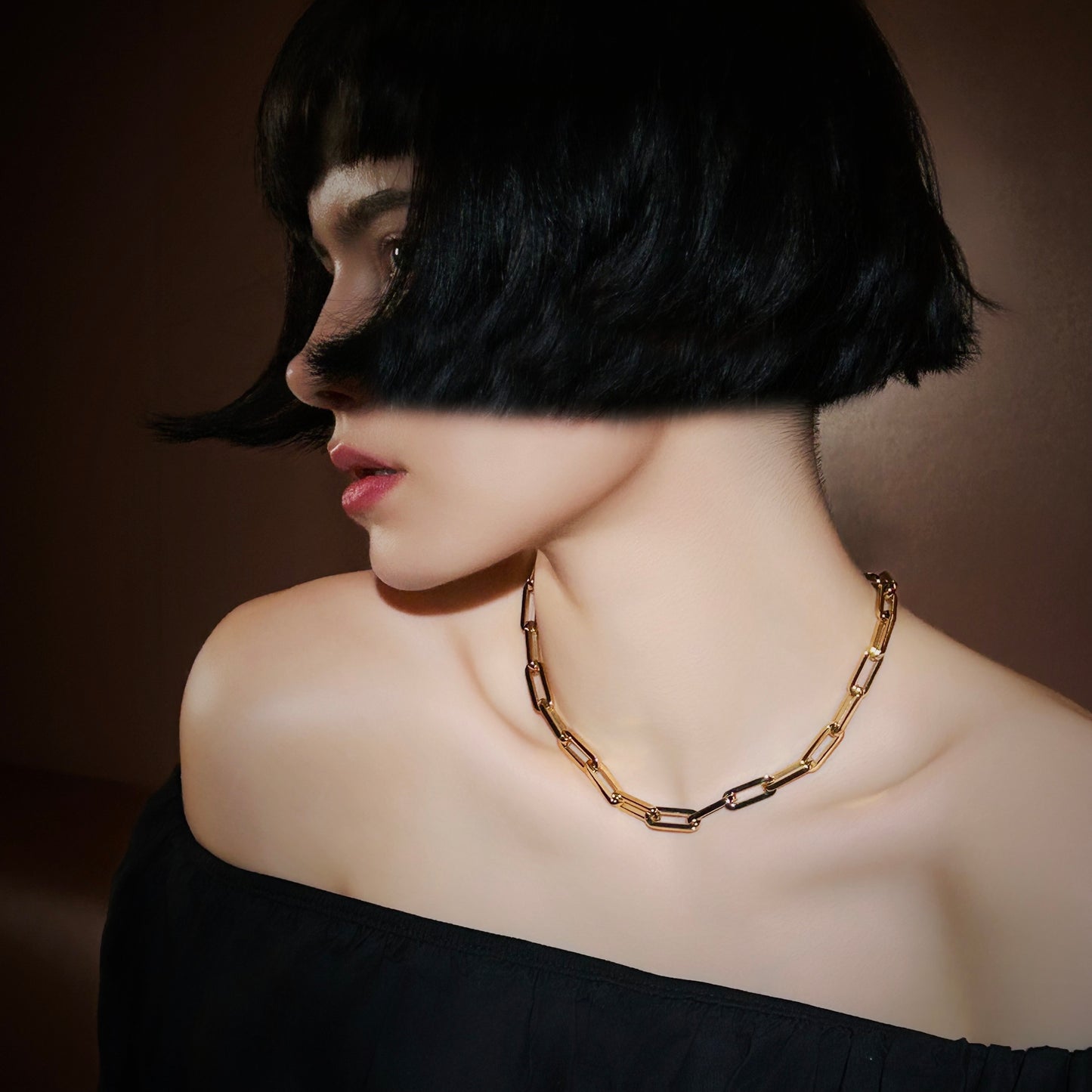 LG009 Paperclips Choker Necklace/Bracelet Set